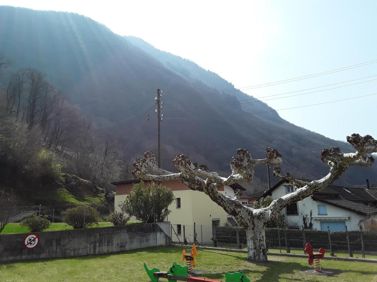 Holidays Homes Il Folletto Quartino Екстер'єр фото